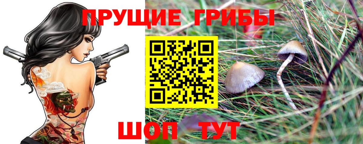 Бузулук  Псилоцибиновые грибы MAGIC MUSHROOMS  Вход с VPN 
