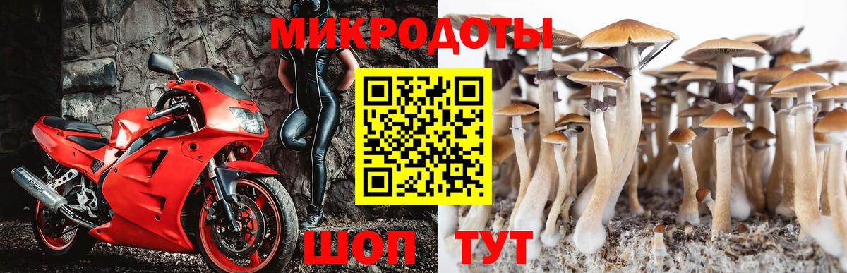 Галлюциногенные грибы Cubensis Бузулук
